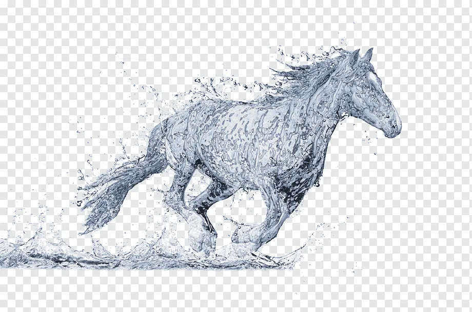 img_6245.png