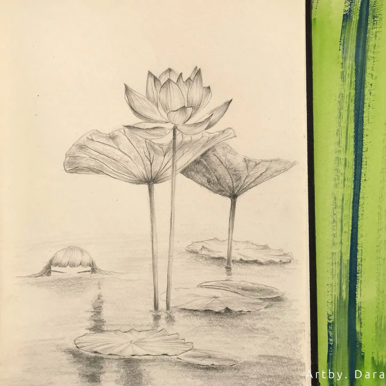 Lotus Drawing Notebook A4 (Soft Cover) – Lotus Stationery