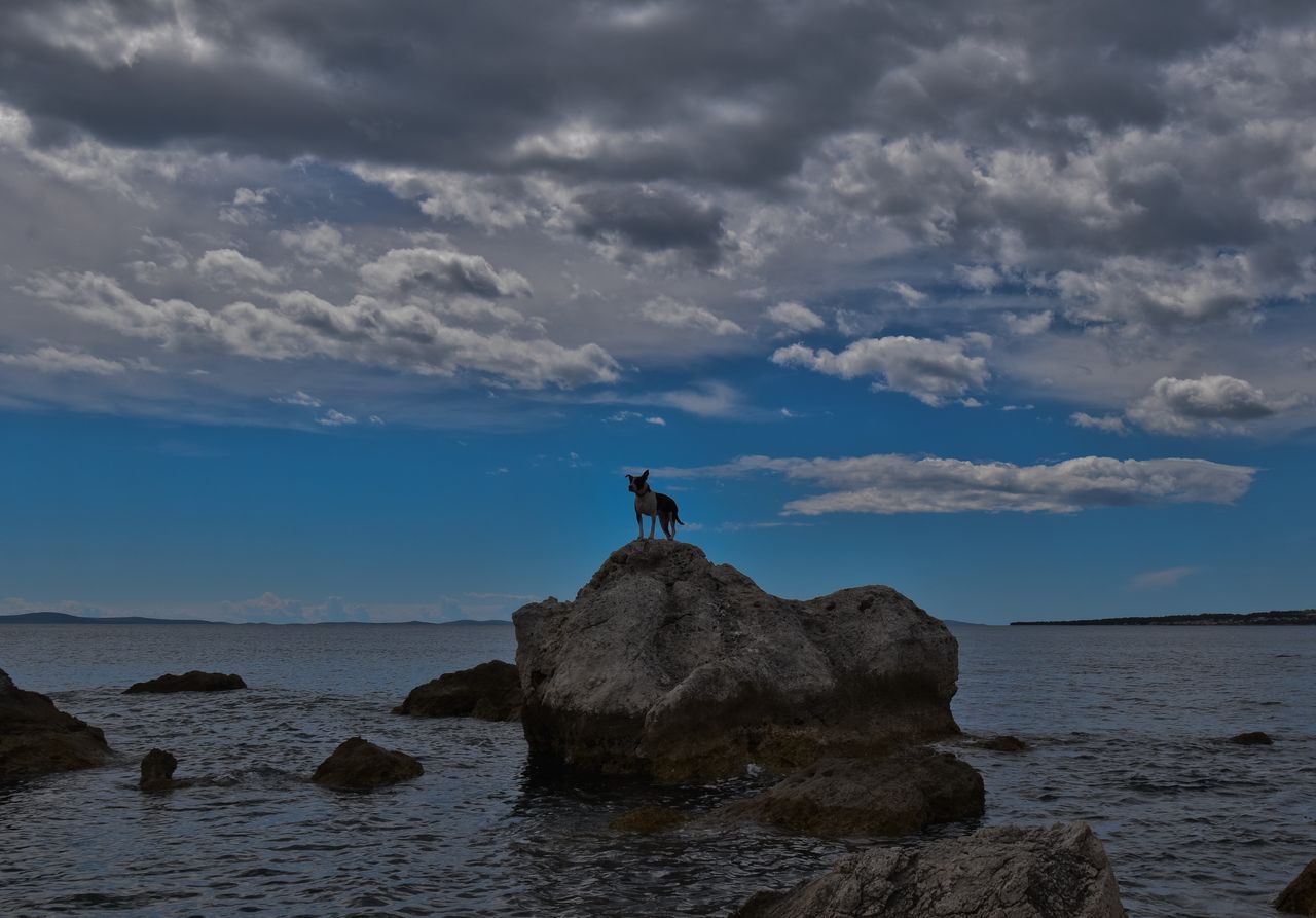 dsc_1972.jpg