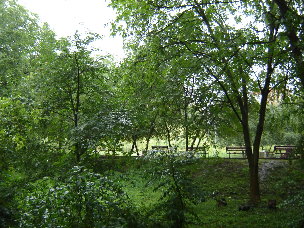 dsc00279.jpg