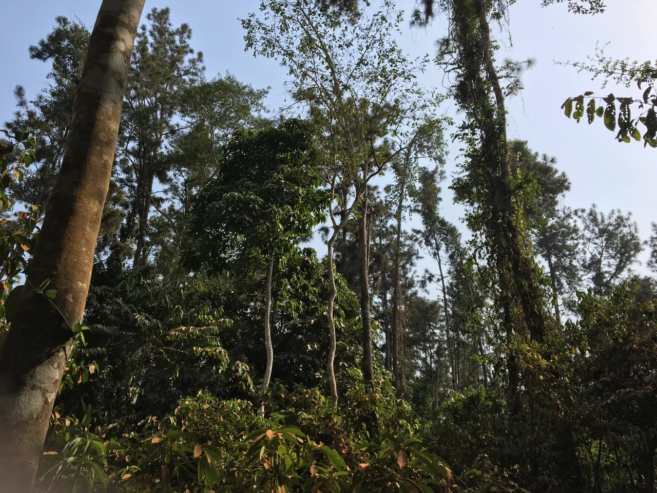 img_0053.jpg
