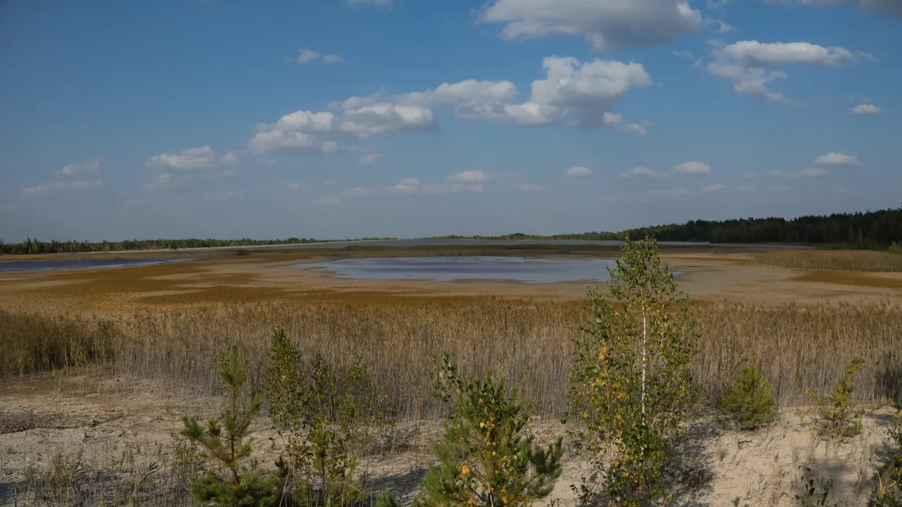 dsc02911.jpg