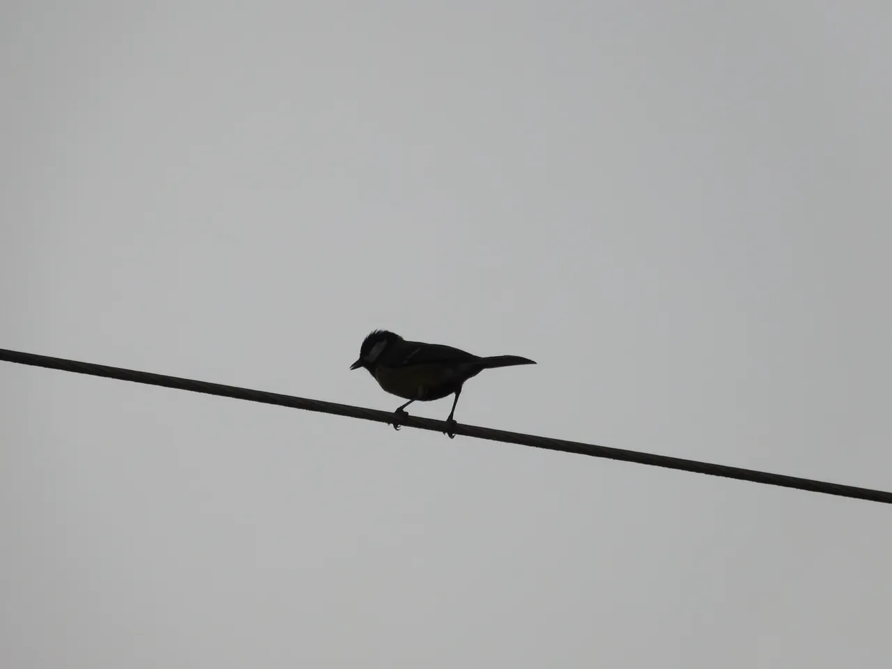 dscn0541.jpg