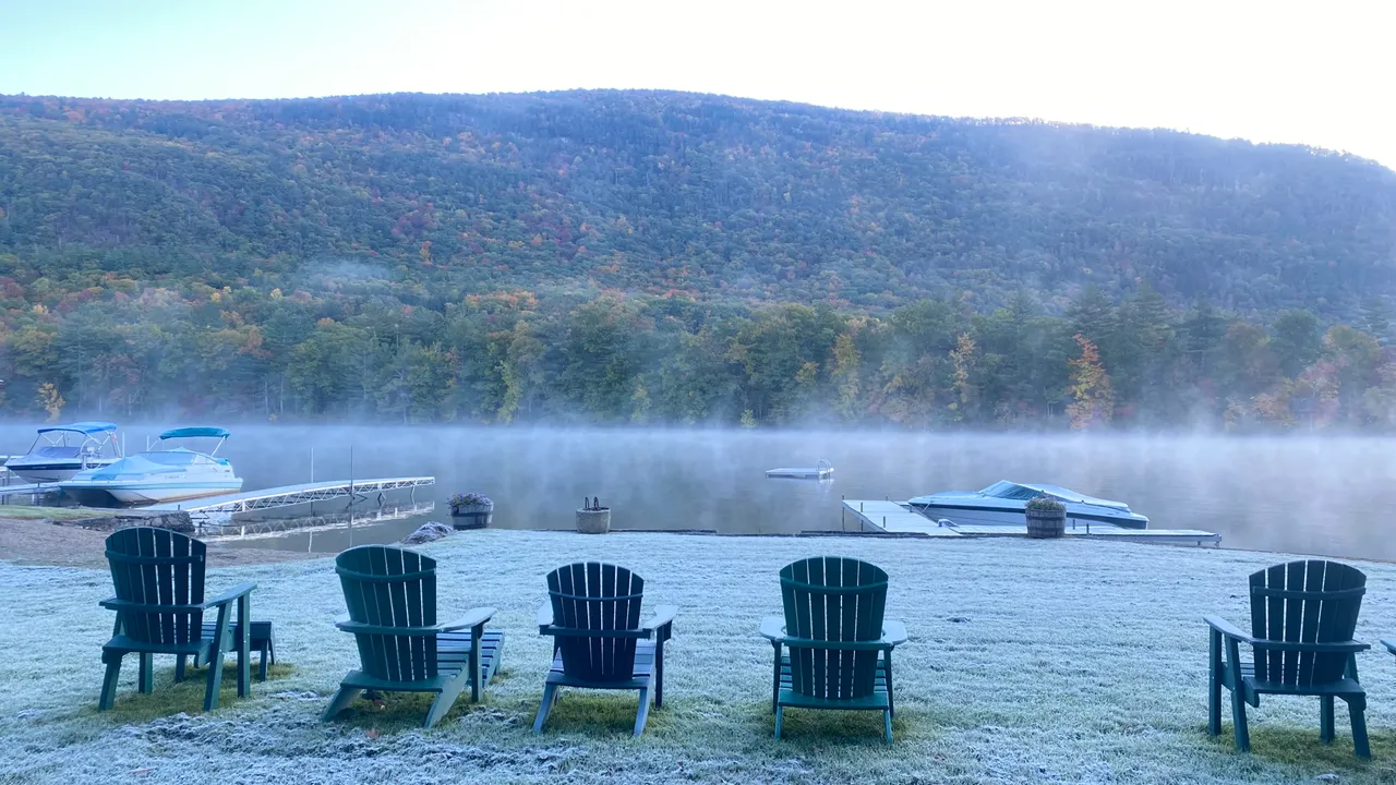 Frosty lawn