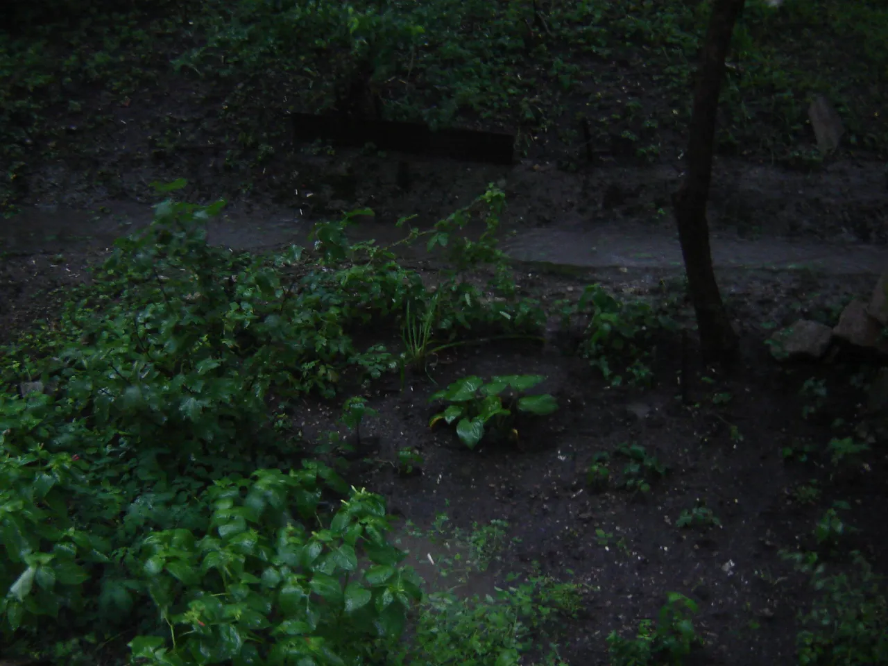 dsc00285.jpg