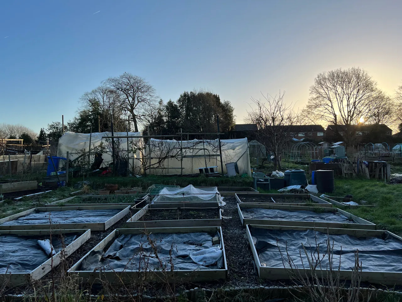 allotment