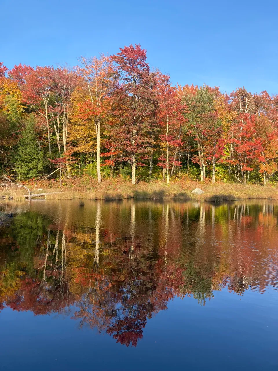 Abby Pond