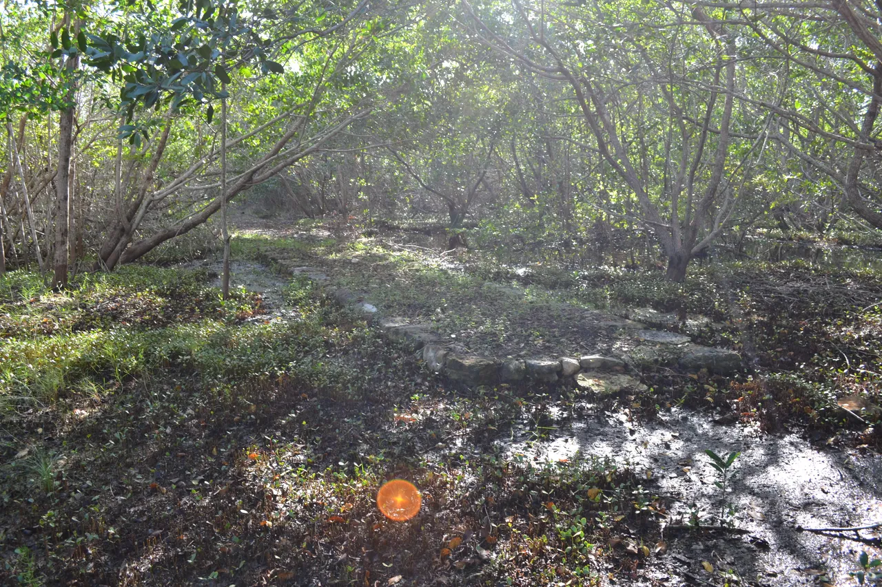 dsc_0282.jpg