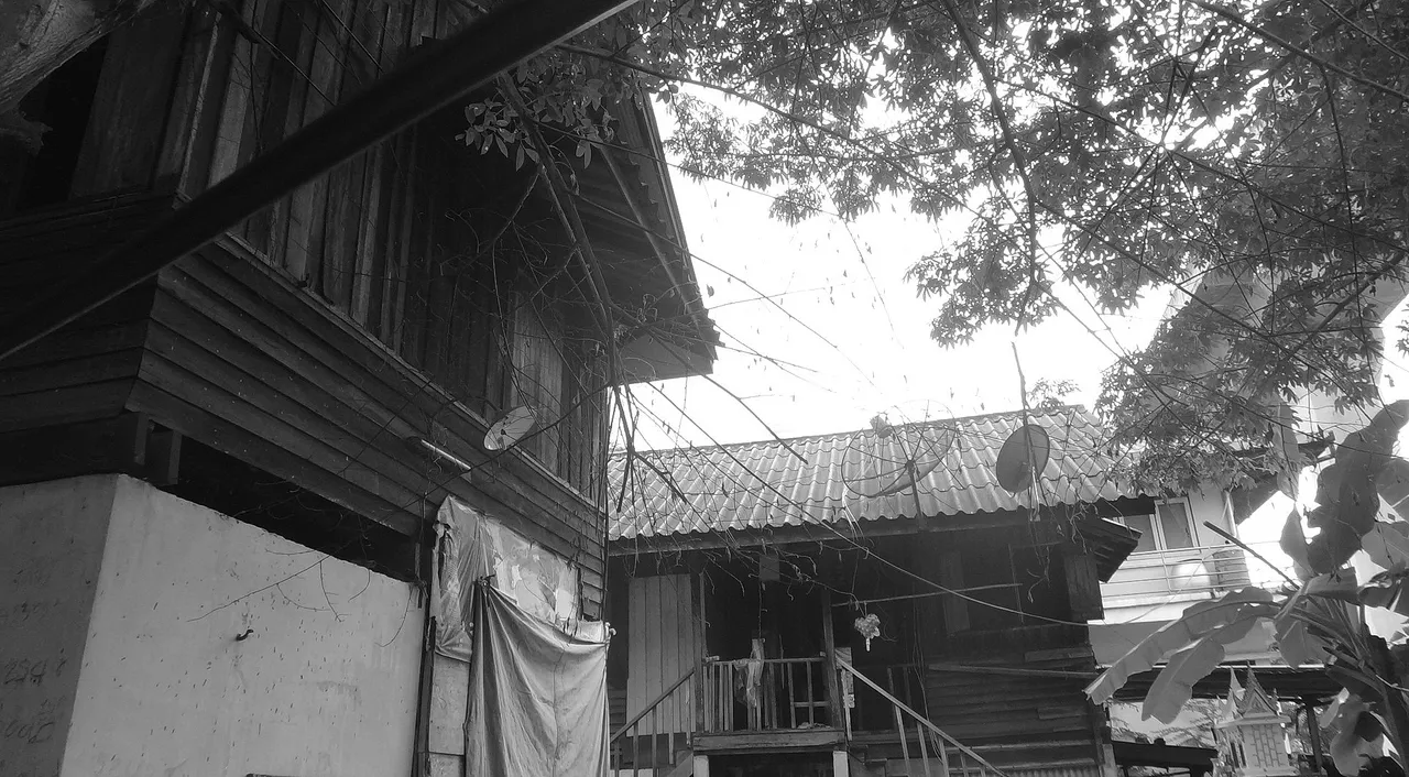 dsc07004.jpg