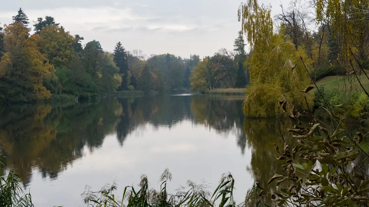 dsc08592.jpg