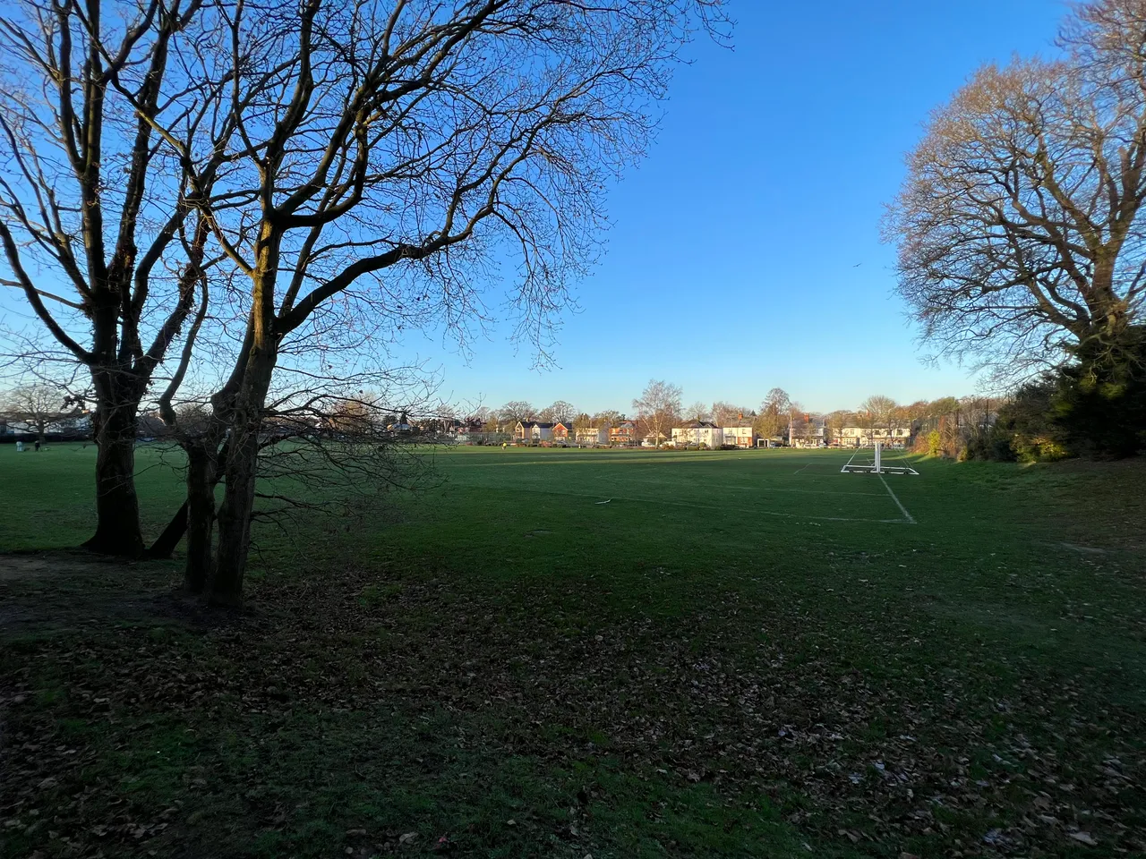 cove green