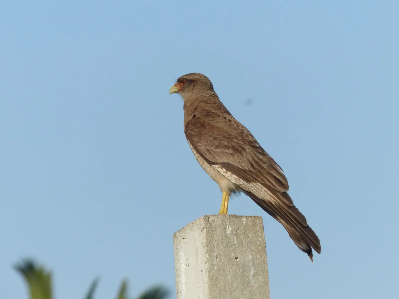 p1050765.jpg