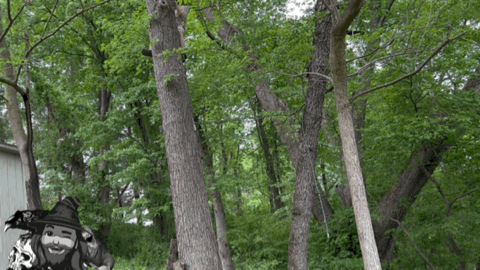 img_0673.gif