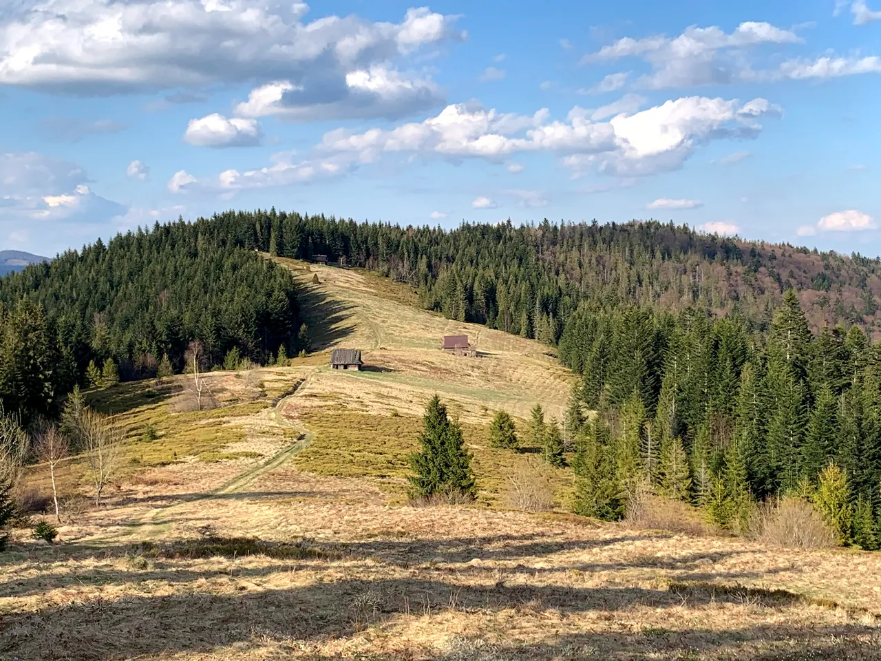 Polana pod Kudłoniem (tam nie będziemy...)