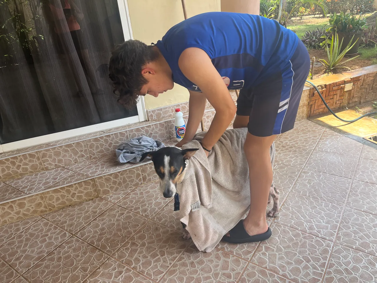alt