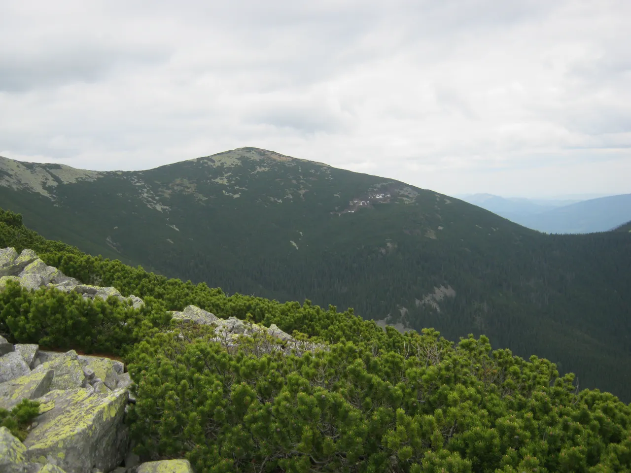 img_4722.jpg