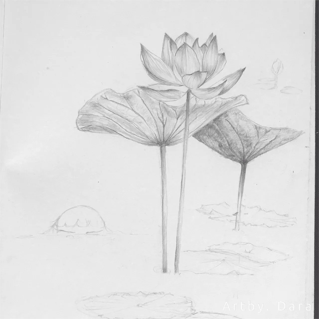 Creative Gallery Sacred Lotus Flower Drawing 20
