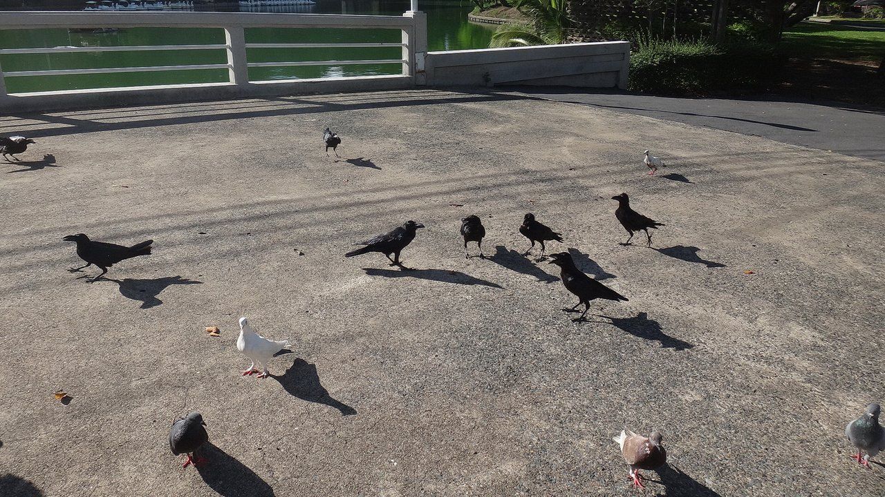 DSC05736.JPG