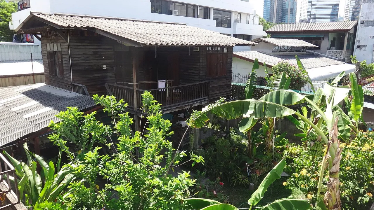 DSC05608.JPG
