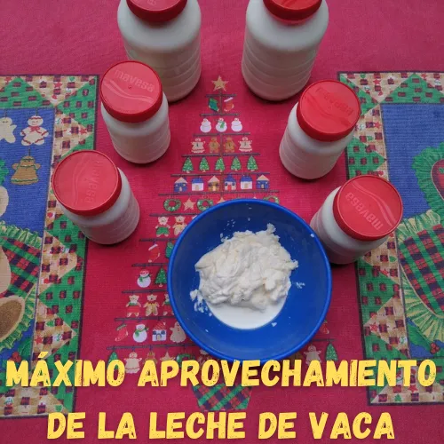 LECHE 1.png