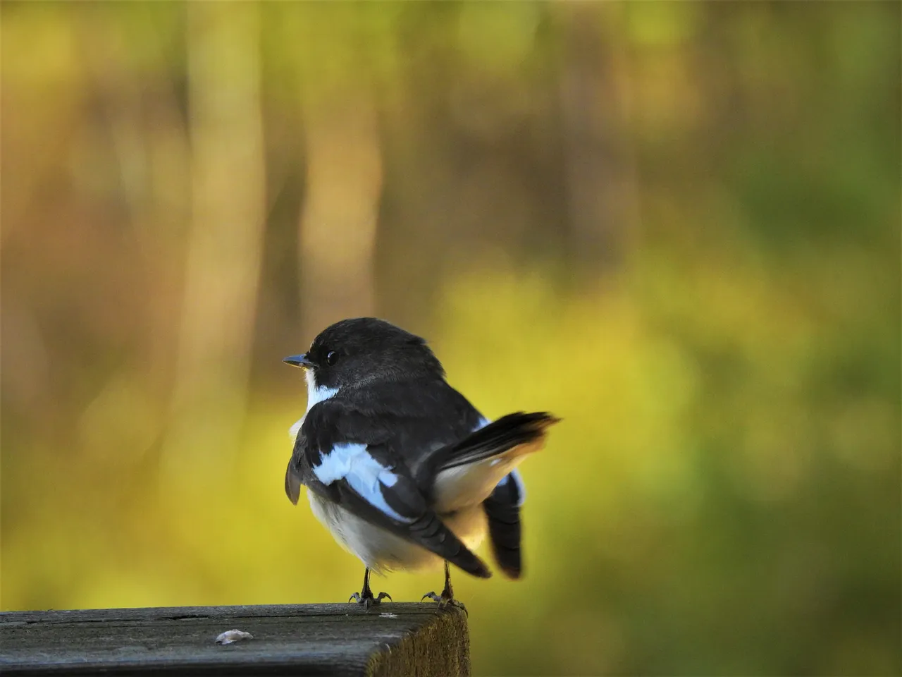 DSCN55851.jpg