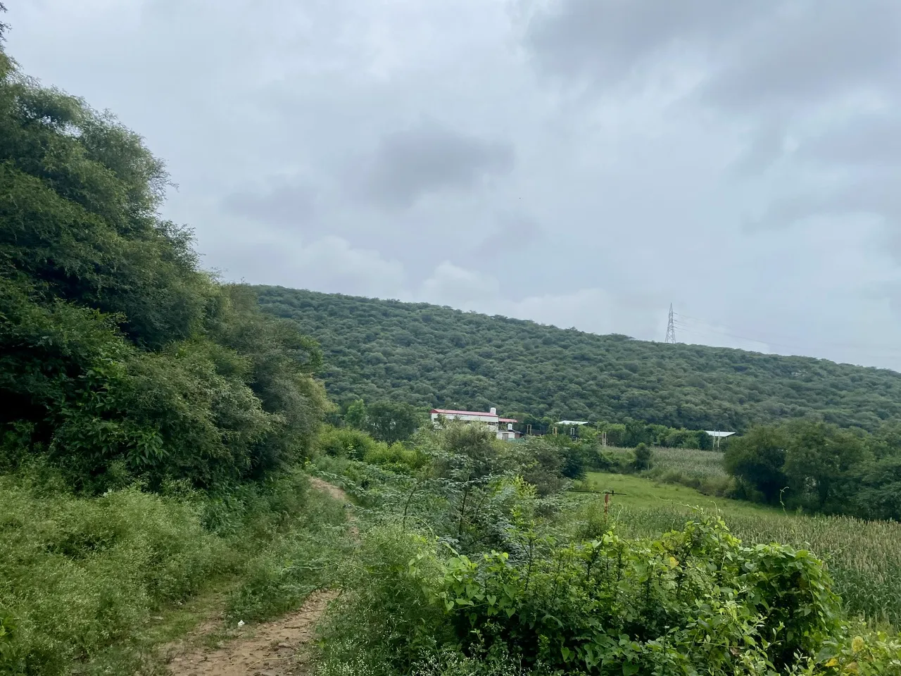IMG_1441.jpeg