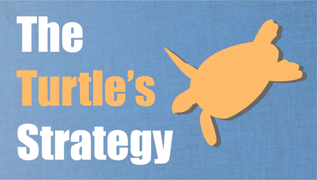 turtle-01.png