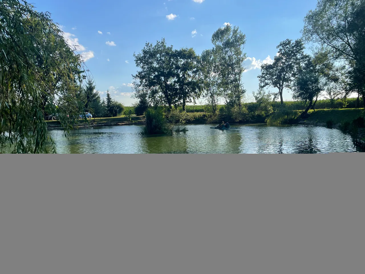 IMG_1411.jpeg