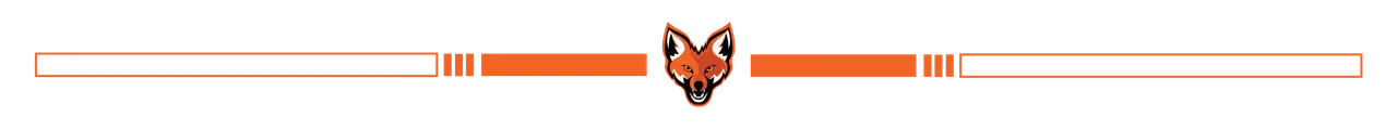 "Divider_2.png"