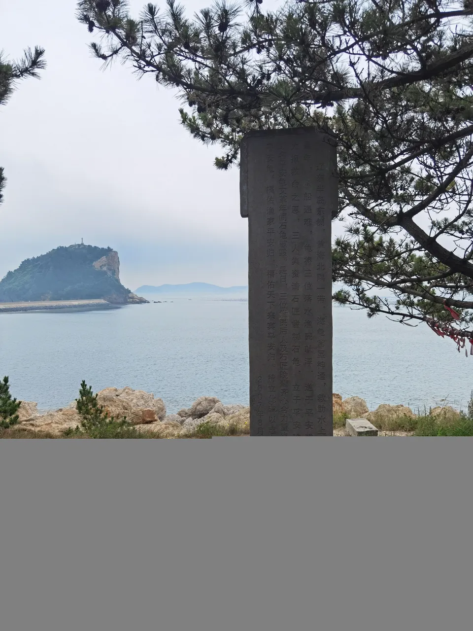 龟.jpg