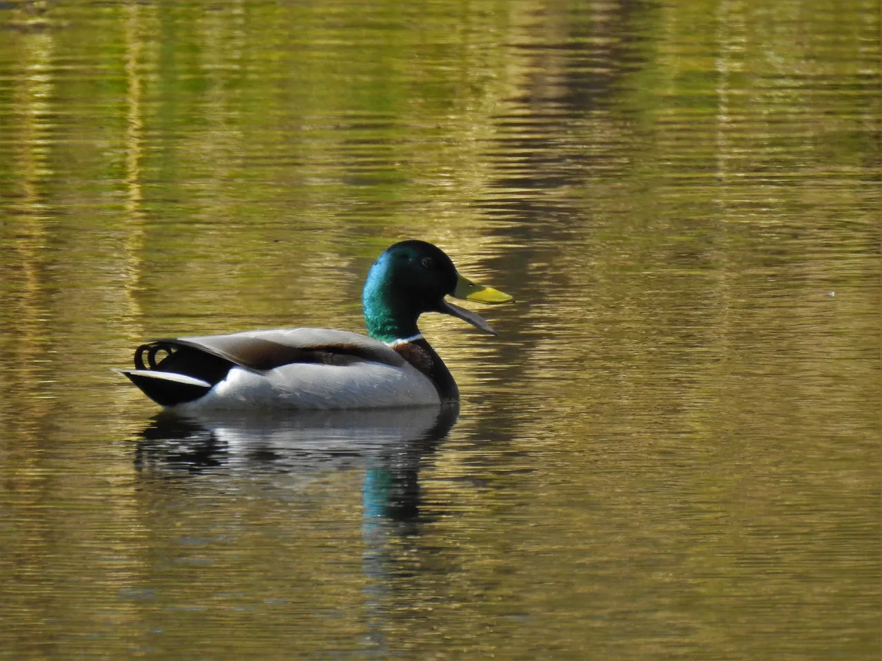DSCN56082.jpg