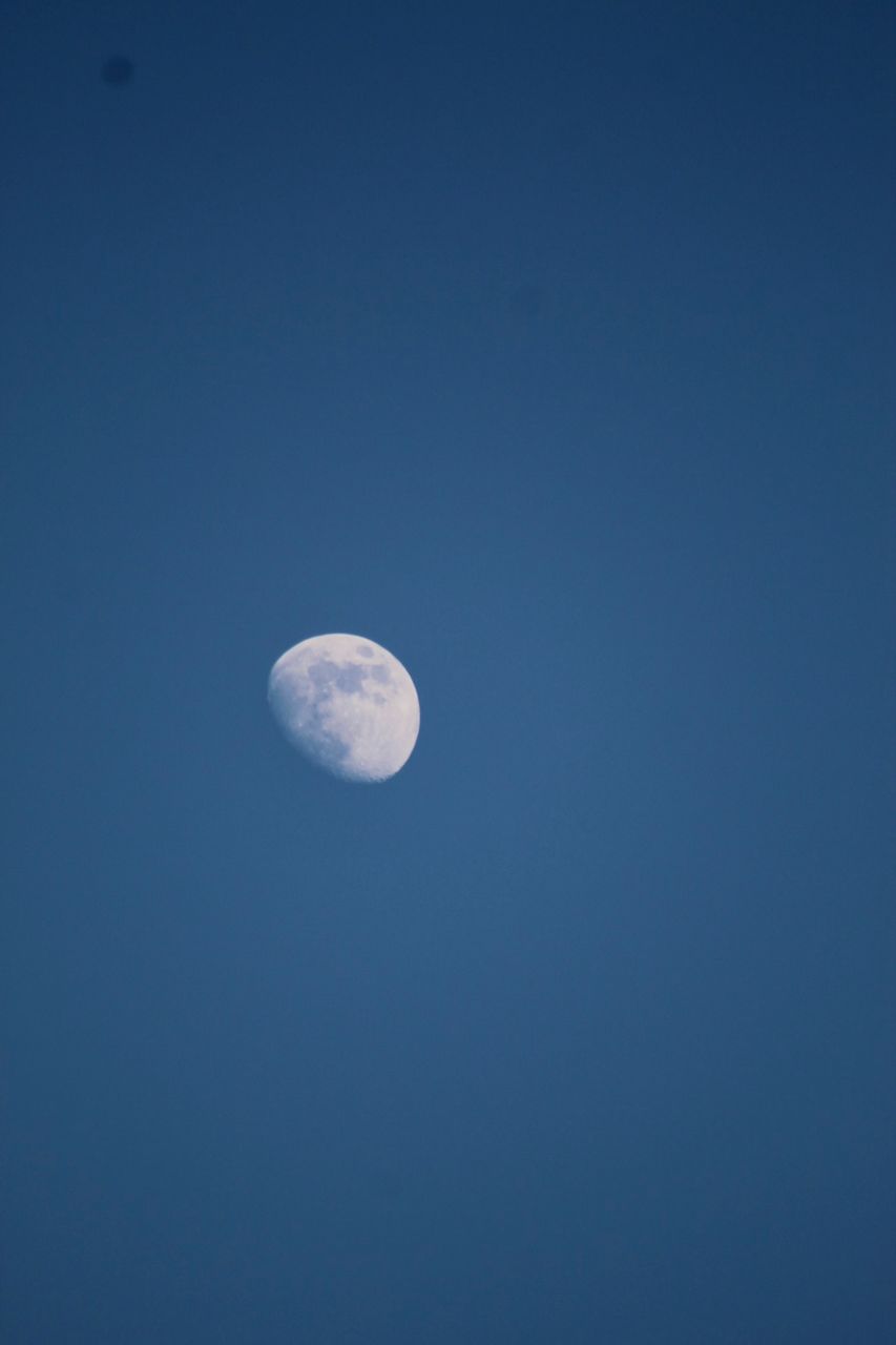 IMG_0943.jpeg