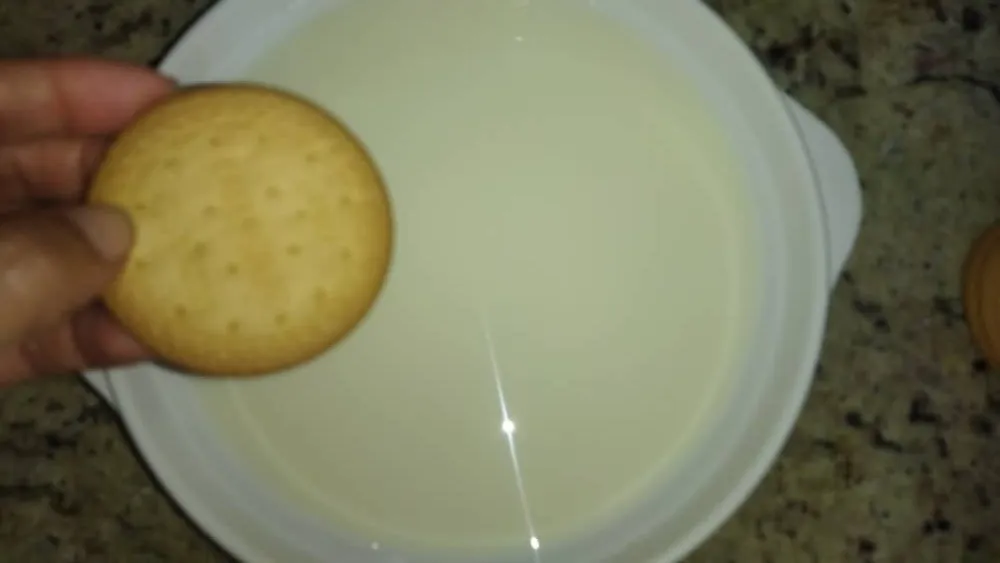 1 (20).jpeg