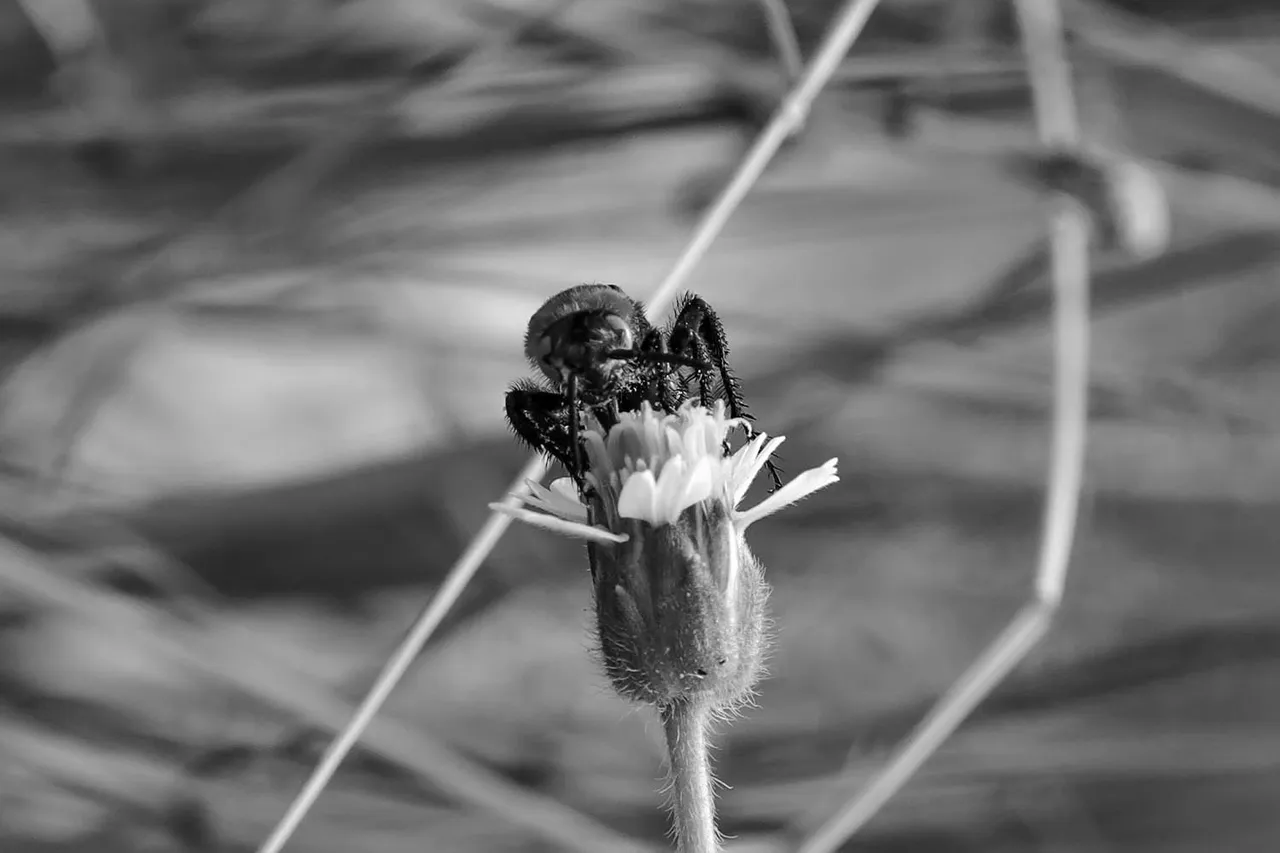 IMG_3973+.jpg