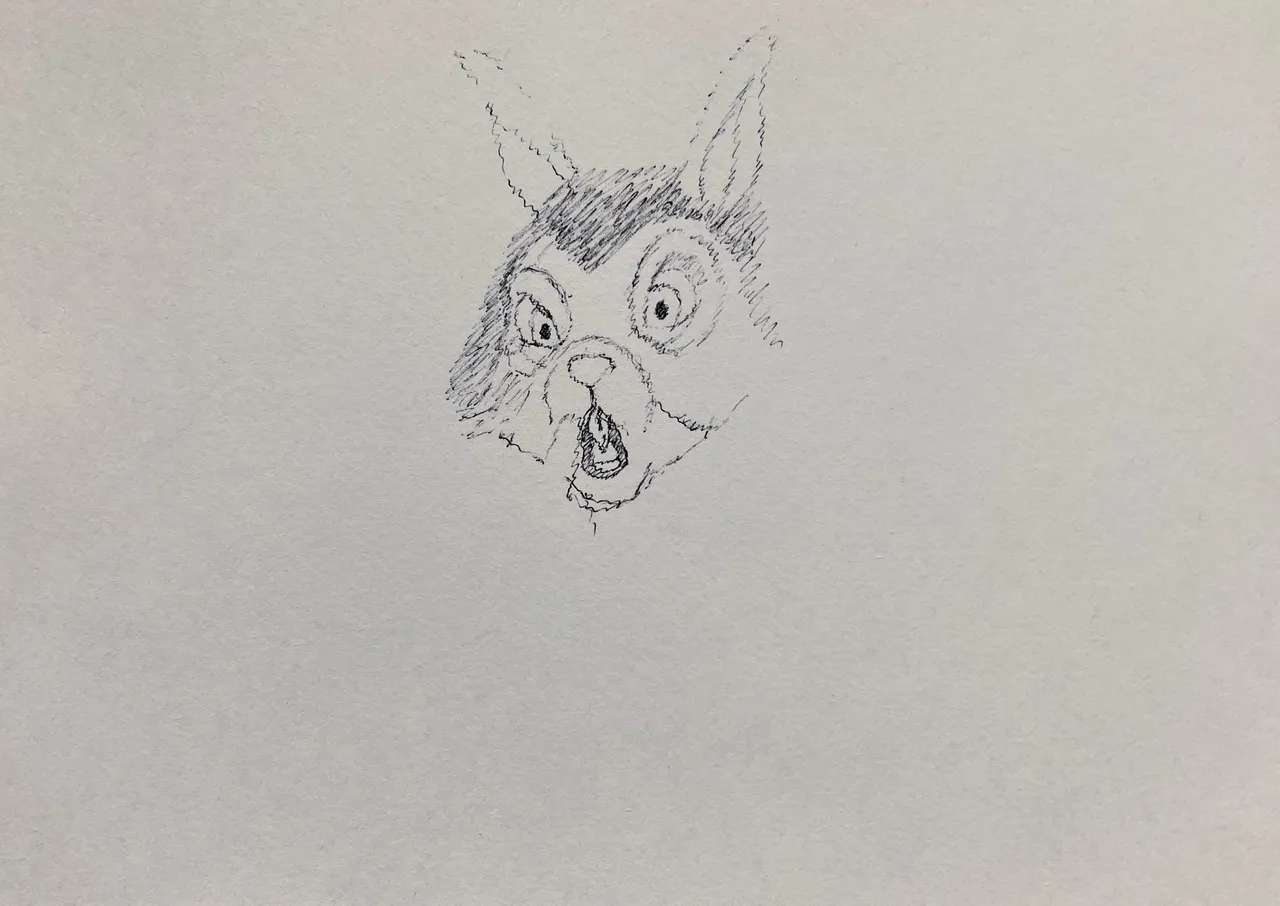IMG_4730.jpeg