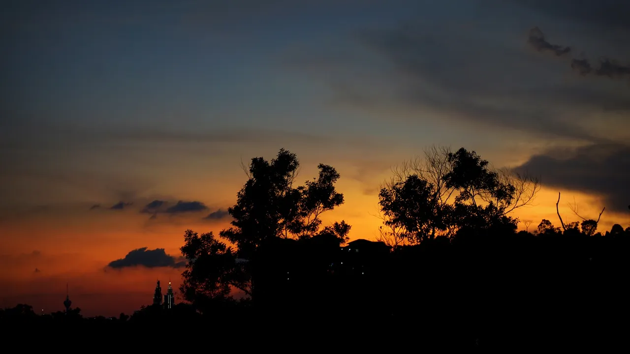 DSC09656a.JPG