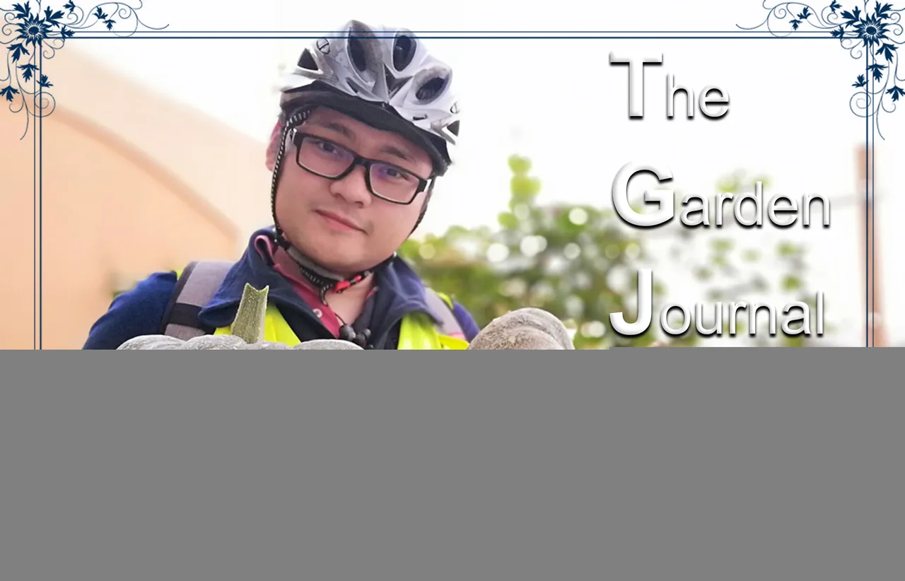 THUMBNAIL.jpg