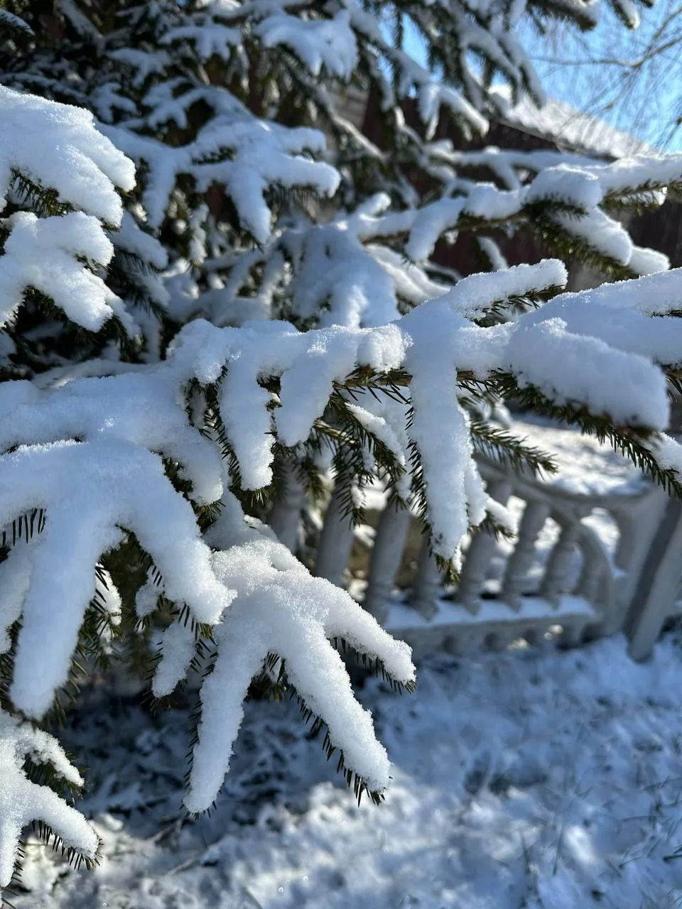 IMG_1376.jpeg