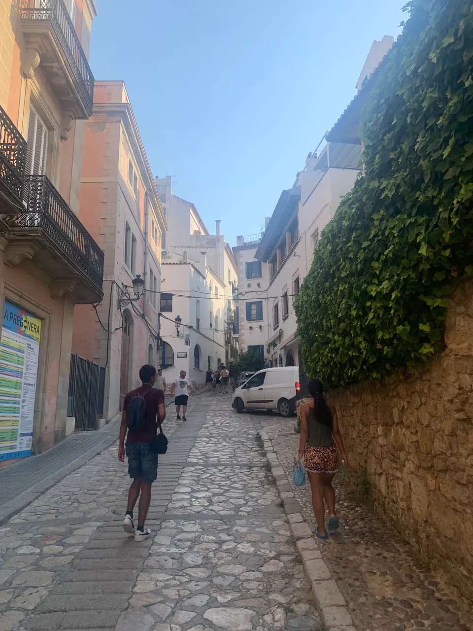 IMG_2056.jpeg