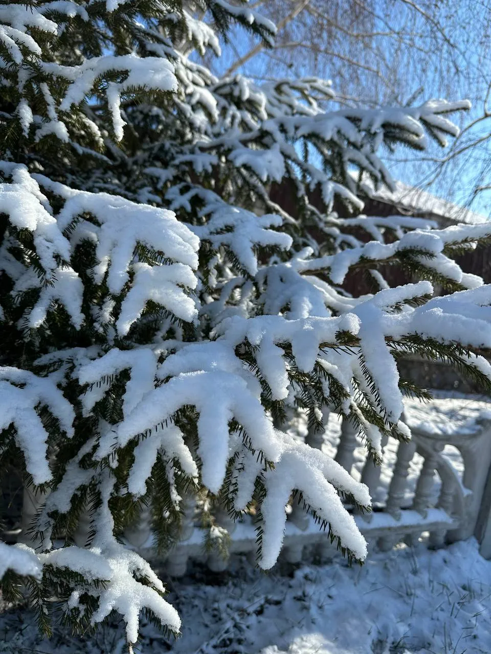 IMG_1375.jpeg