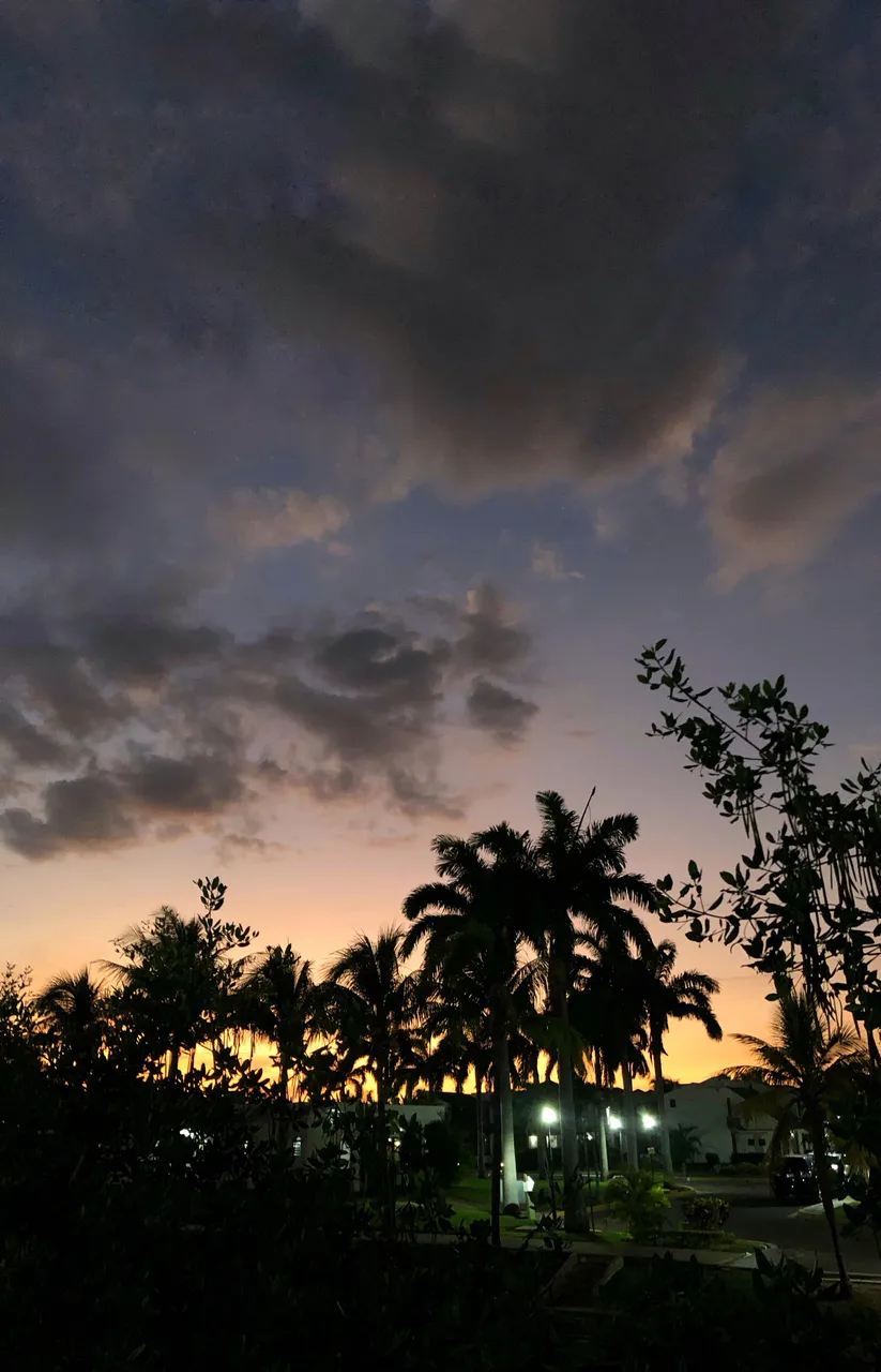 IMG_2625.jpeg