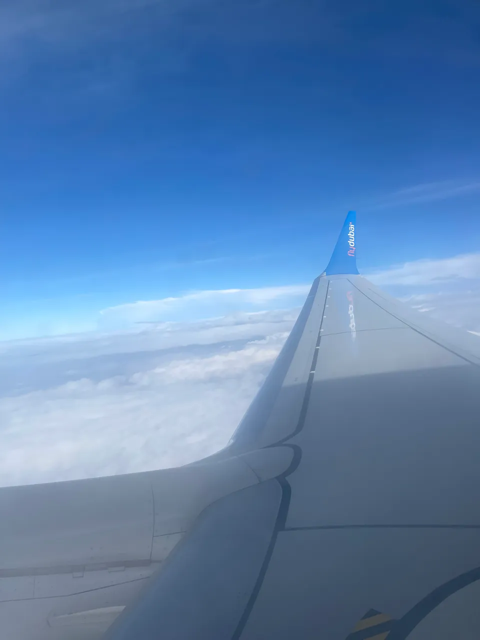 IMG_8594.jpeg