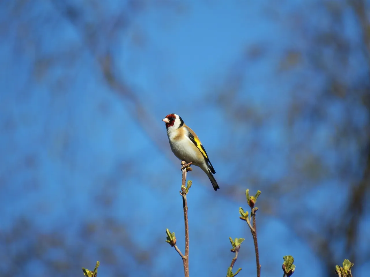 DSCN56112.jpg
