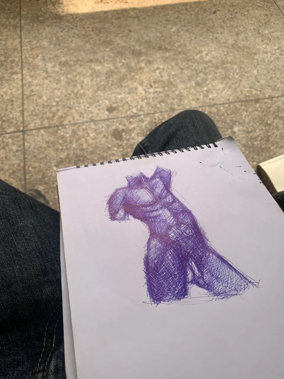 IMG_4002.jpeg