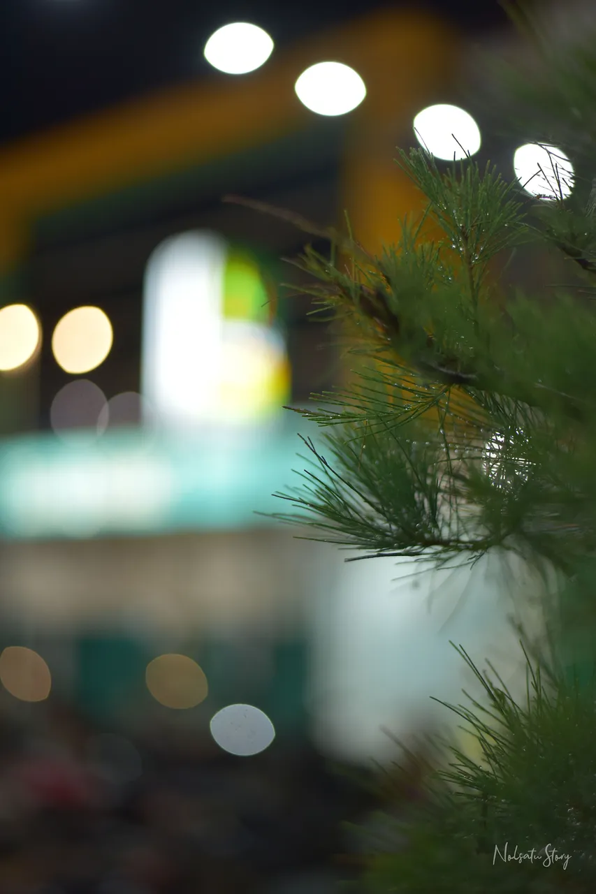 KTK_1568+.jpg
