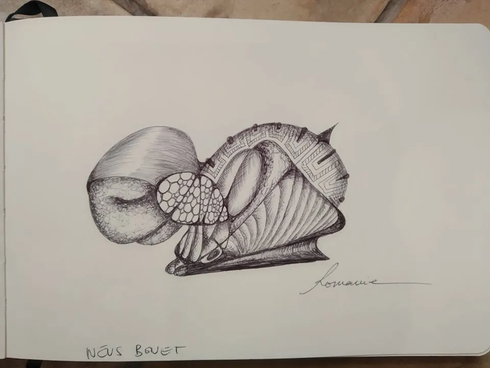 dibujo75B.jpg