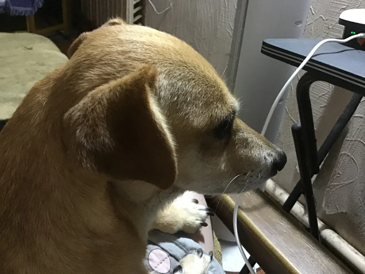 IMG_0594.jpeg