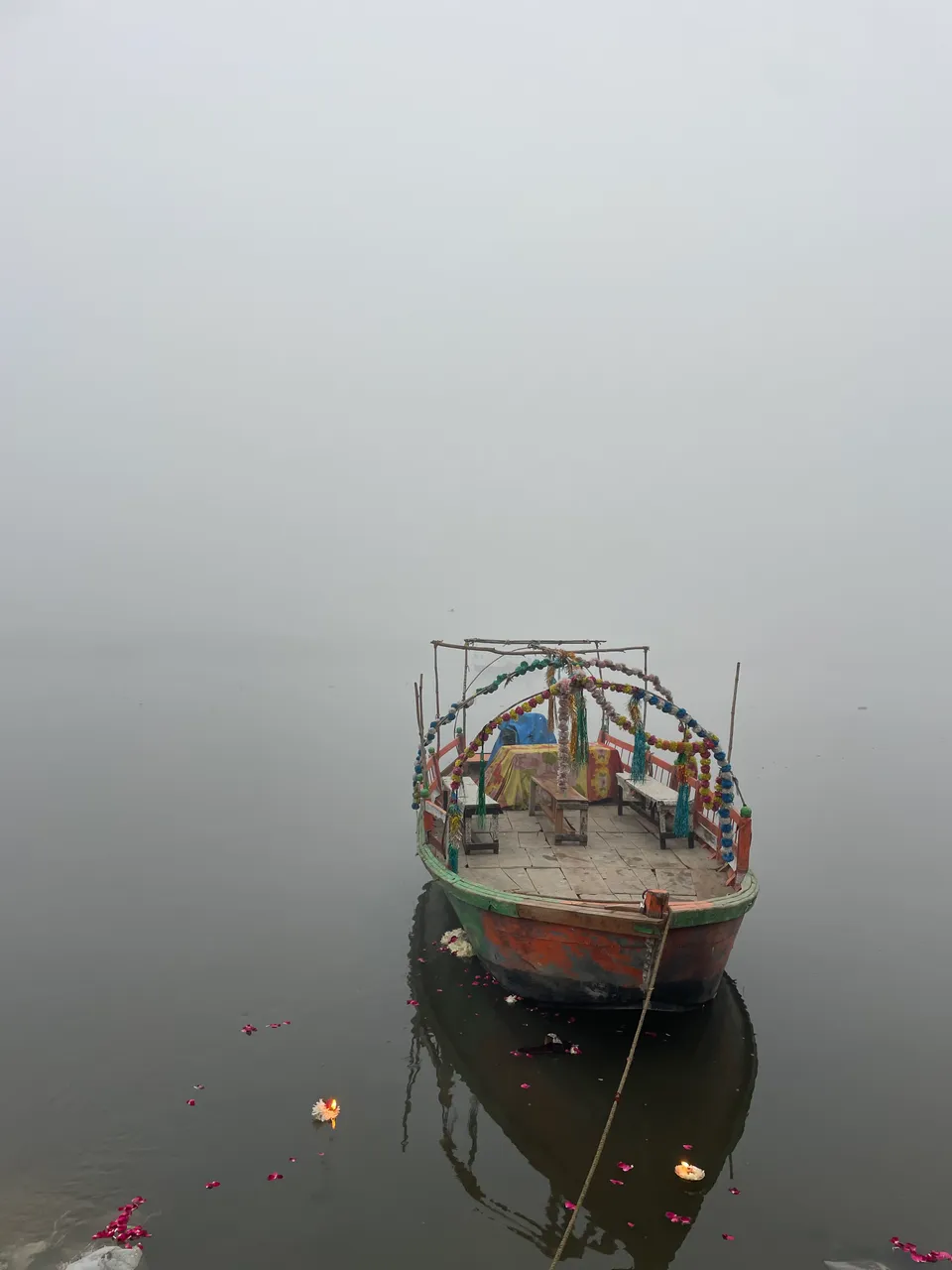 IMG_2331.jpeg