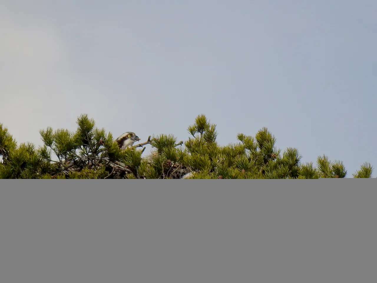 DSCN57813.jpg
