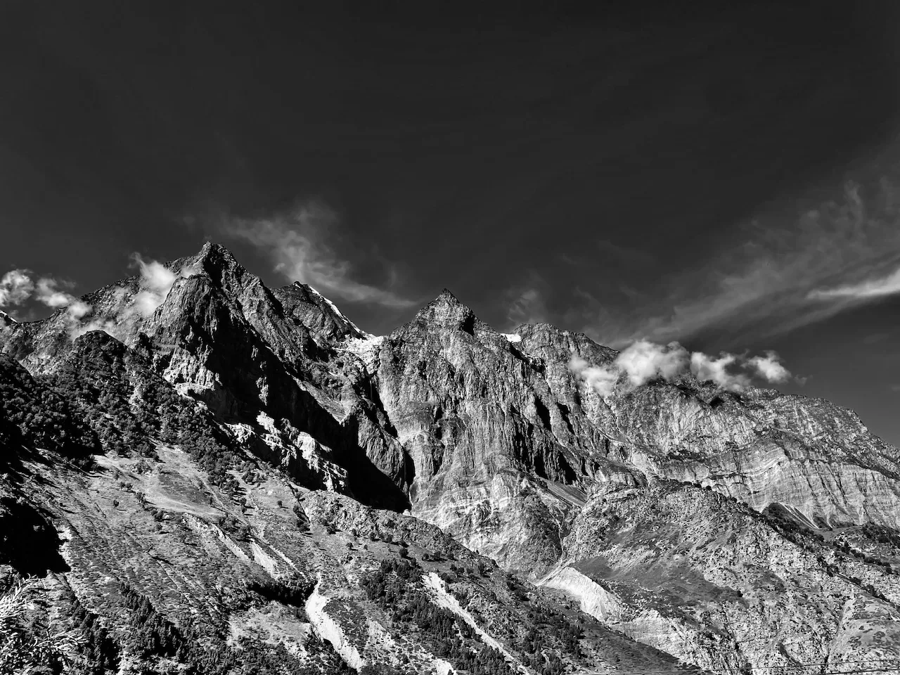 IMG_6707.jpeg